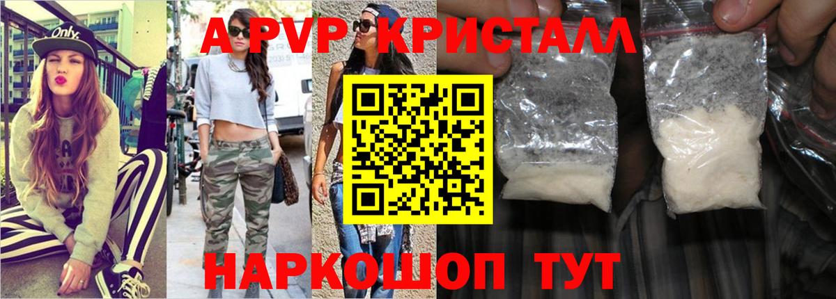 Альфа ПВП СК Новозыбков
