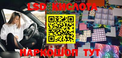 шишки Ставрополь