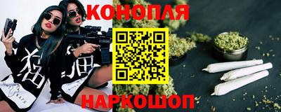 шишки Ставрополь