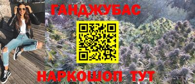 шишки Ставрополь