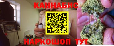 шишки Ставрополь