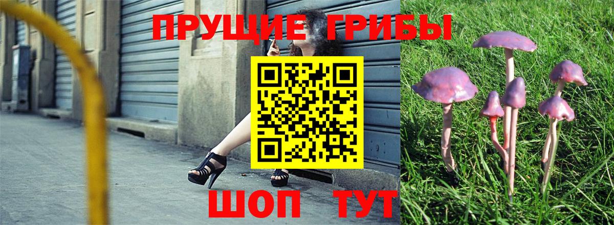 что такое наркотик  Галлюциногенные грибы Magic Shrooms  Вход с VPN  Новозыбков 