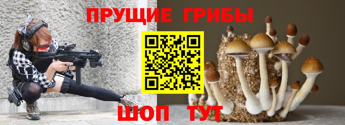 Галлюциногенные грибы MAGIC MUSHROOMS Новозыбков